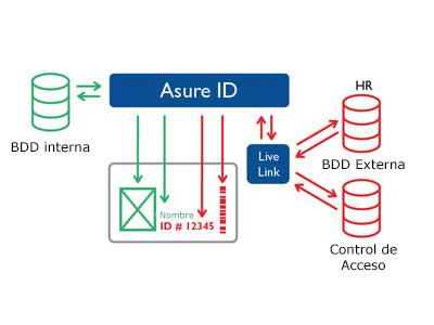 Asure ID Funcionamiento de BDD